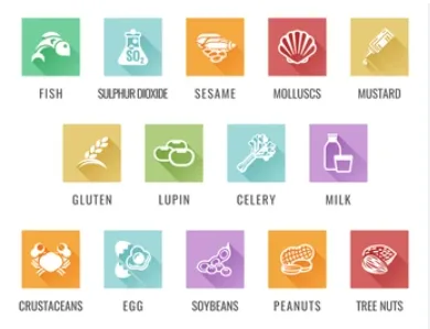 14 EU allergen icons on screen