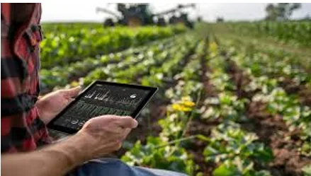 Farmer with tablet in field
